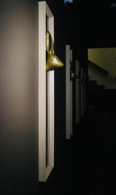 Casa Coelho Guesthouse كويمبرا المظهر الخارجي الصورة
